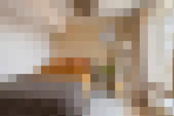 Biezenstraat 18 Geldrop thumbnail 25