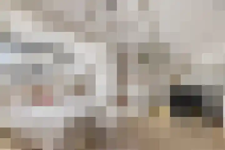 Biezenstraat 18 Geldrop thumbnail 26