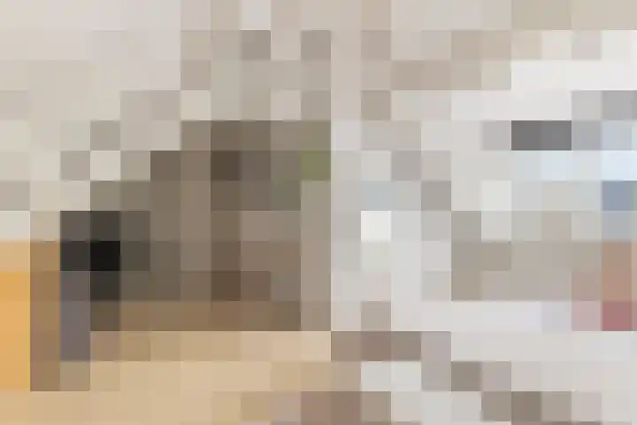 Biezenstraat 18 Geldrop thumbnail 27