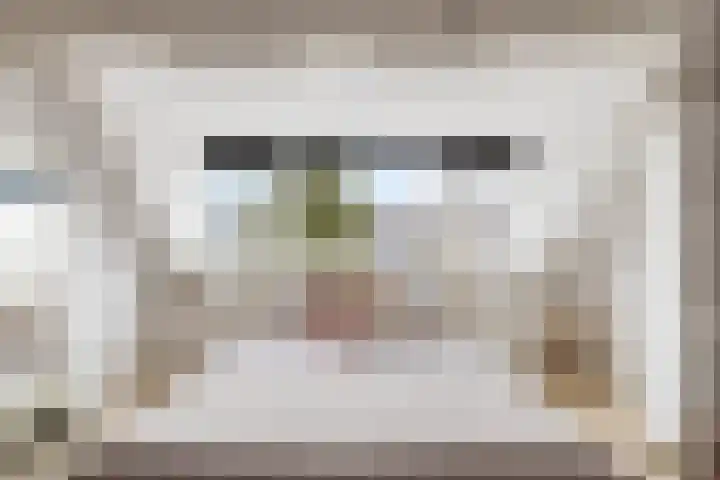Biezenstraat 18 Geldrop thumbnail 28