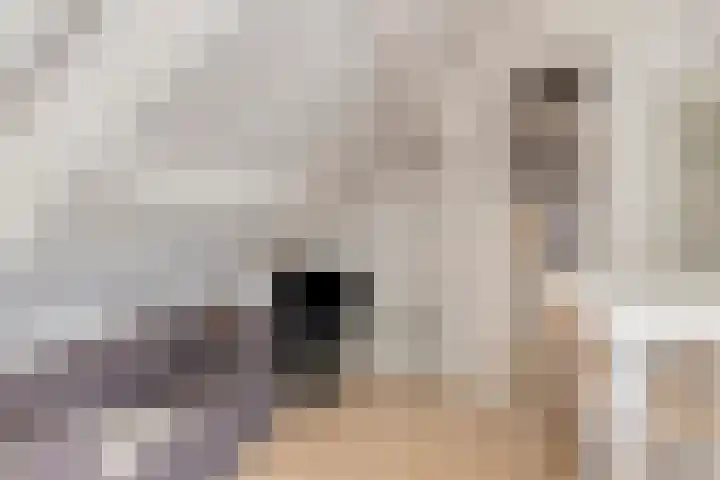 Biezenstraat 18 Geldrop thumbnail 29