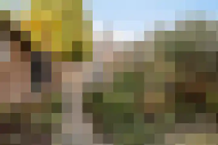 Biezenstraat 18 Geldrop thumbnail 31
