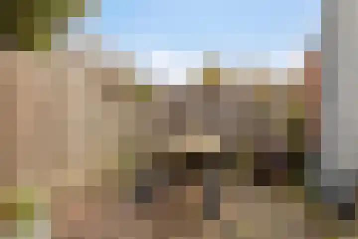 Biezenstraat 18 Geldrop thumbnail 32