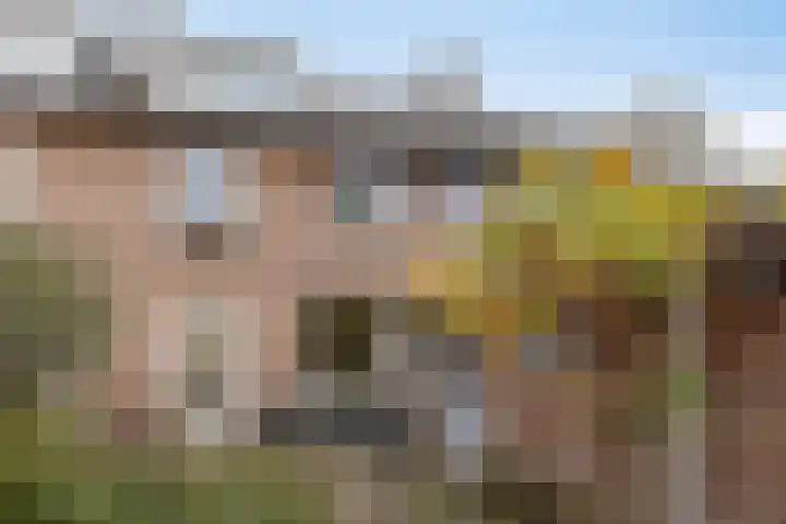 Biezenstraat 18 Geldrop thumbnail 33