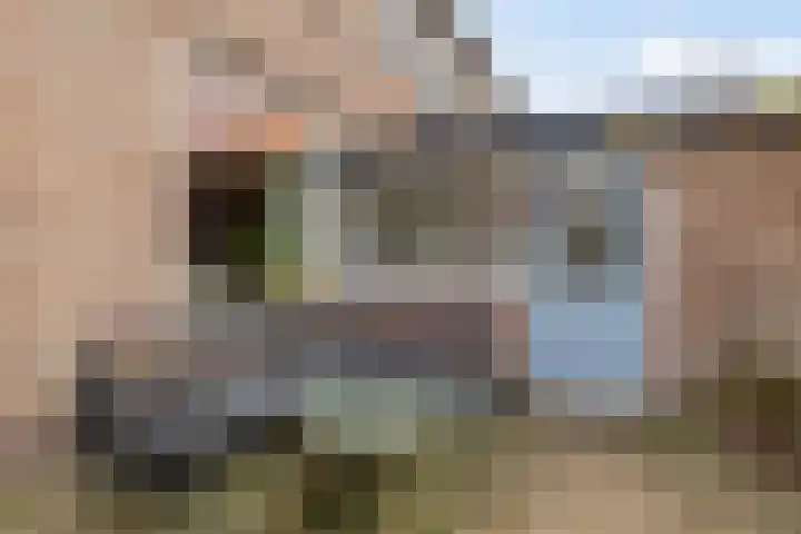 Biezenstraat 18 Geldrop thumbnail 34