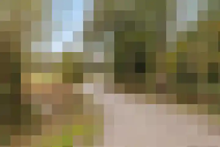 Biezenstraat 18 Geldrop thumbnail 38