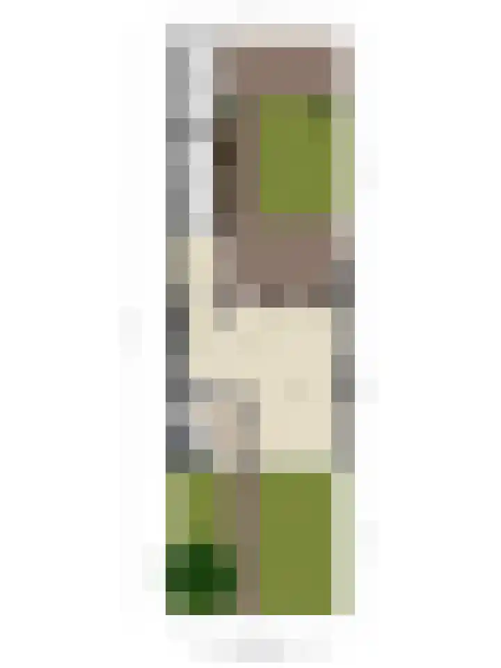 Biezenstraat 18 Geldrop thumbnail 39
