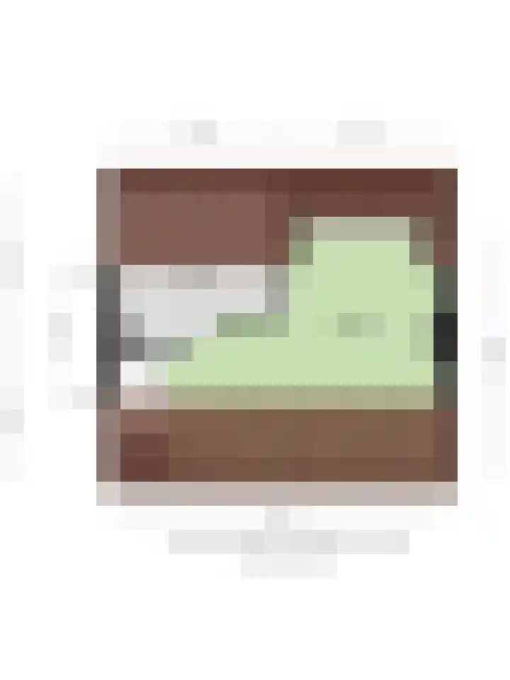 Biezenstraat 18 Geldrop thumbnail 41