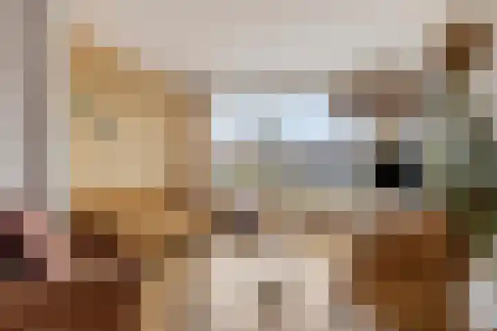 Biezenstraat 18 Geldrop thumbnail 5