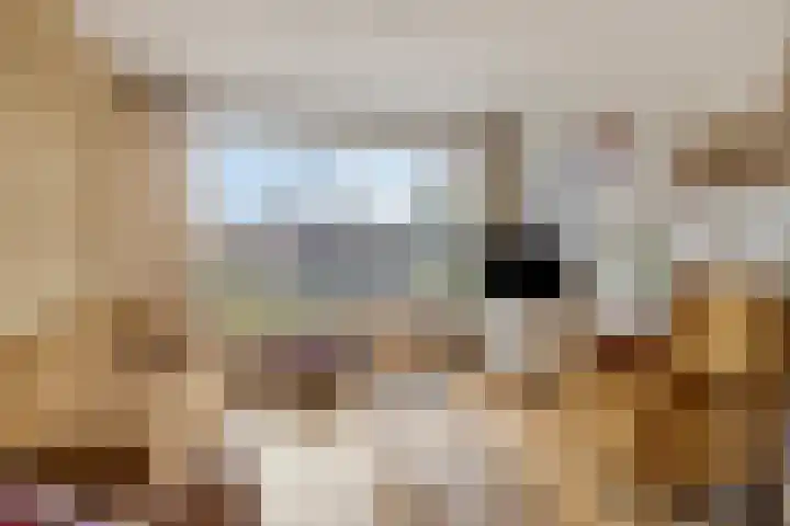 Biezenstraat 18 Geldrop thumbnail 6