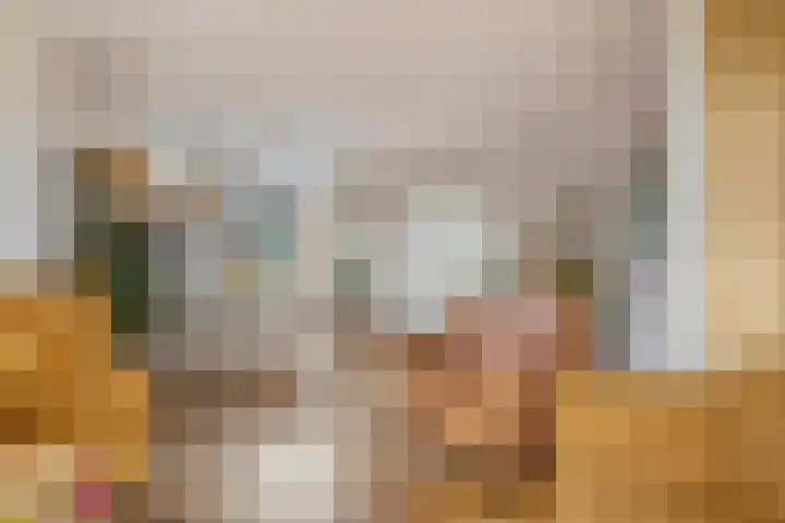 Biezenstraat 18 Geldrop thumbnail 7