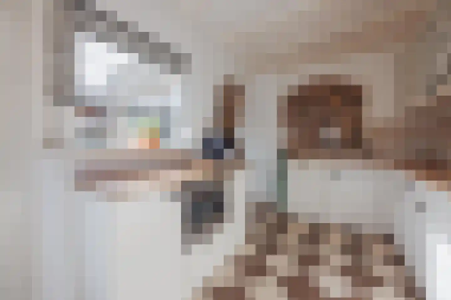 Biezenstraat 2 Raamsdonksveer thumbnail 20