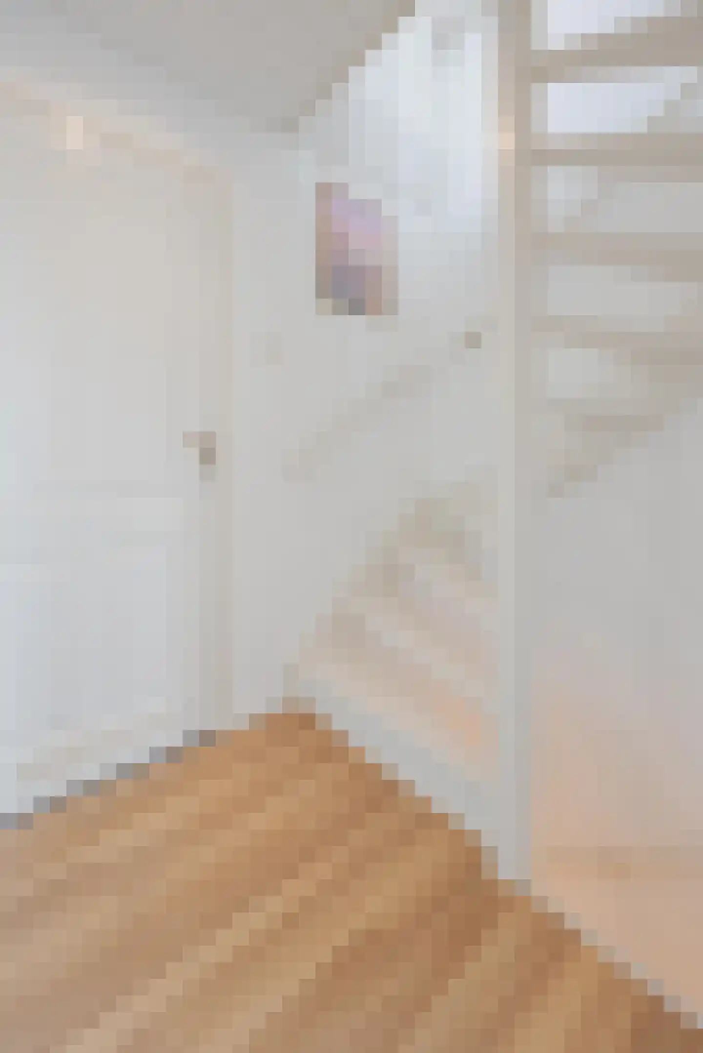 Biezenstraat 2 Raamsdonksveer thumbnail 22