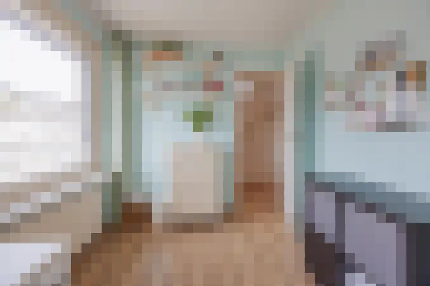 Biezenstraat 2 Raamsdonksveer thumbnail 26