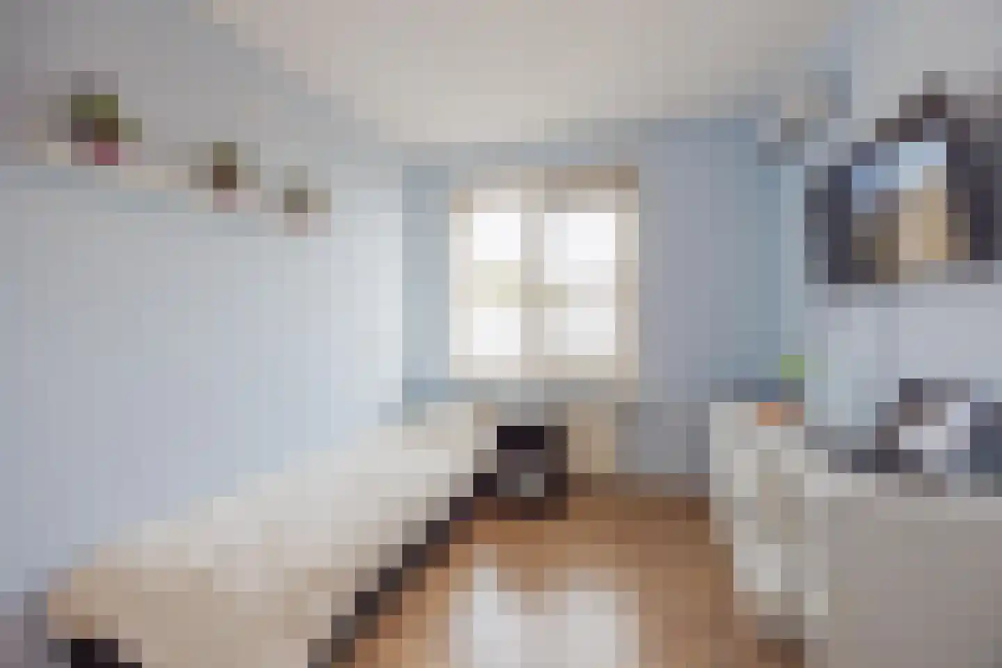 Biezenstraat 2 Raamsdonksveer thumbnail 29
