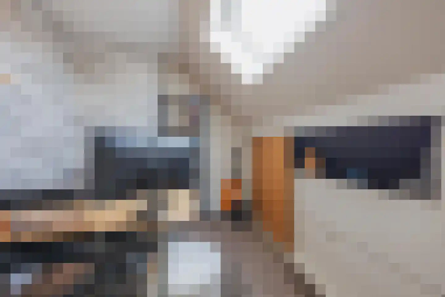 Biezenstraat 2 Raamsdonksveer thumbnail 33