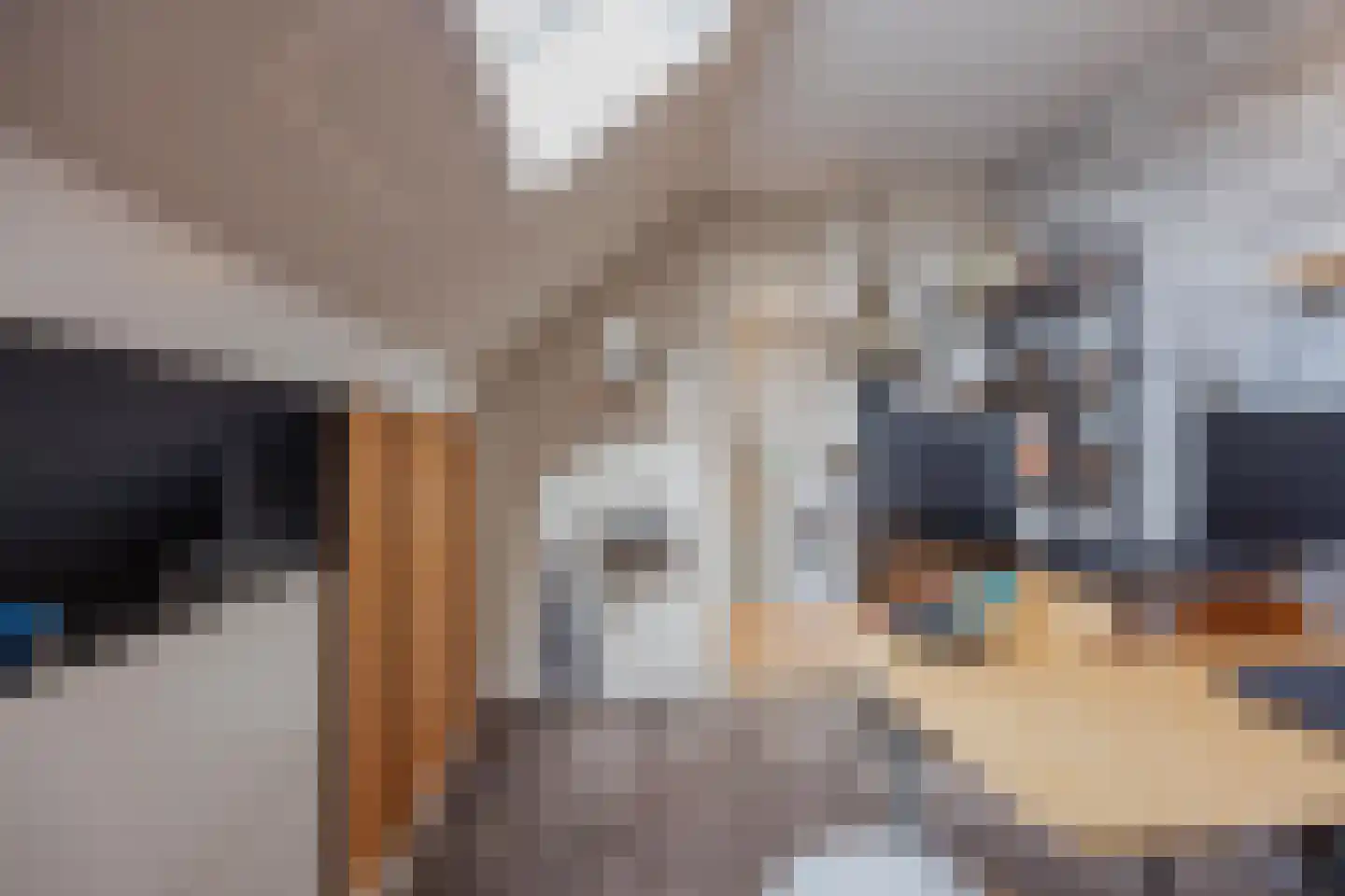 Biezenstraat 2 Raamsdonksveer thumbnail 34