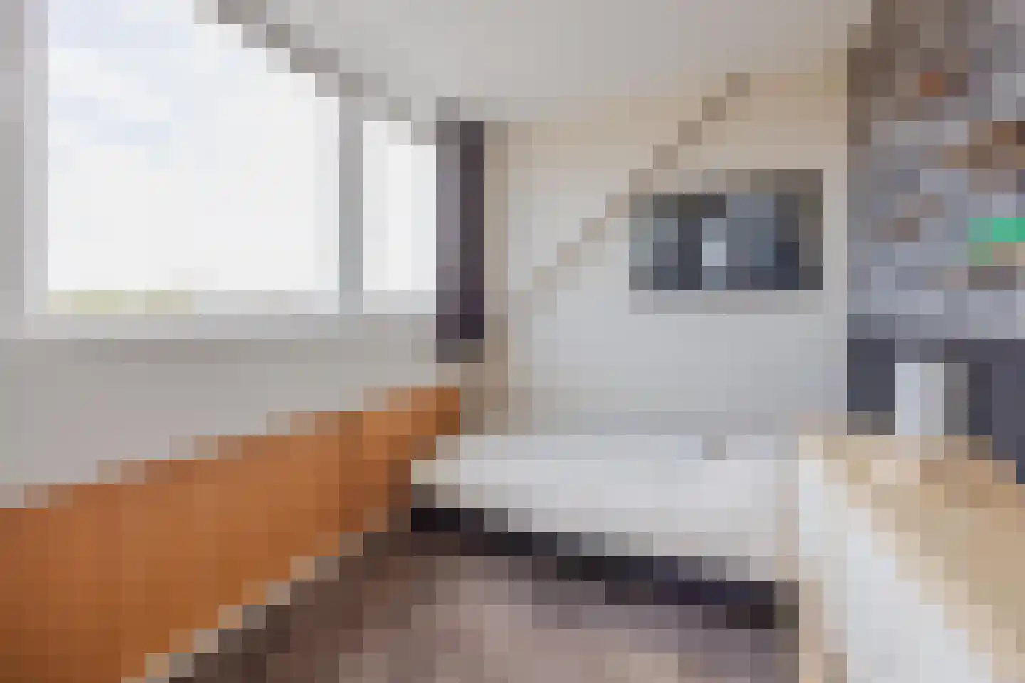 Biezenstraat 2 Raamsdonksveer thumbnail 35