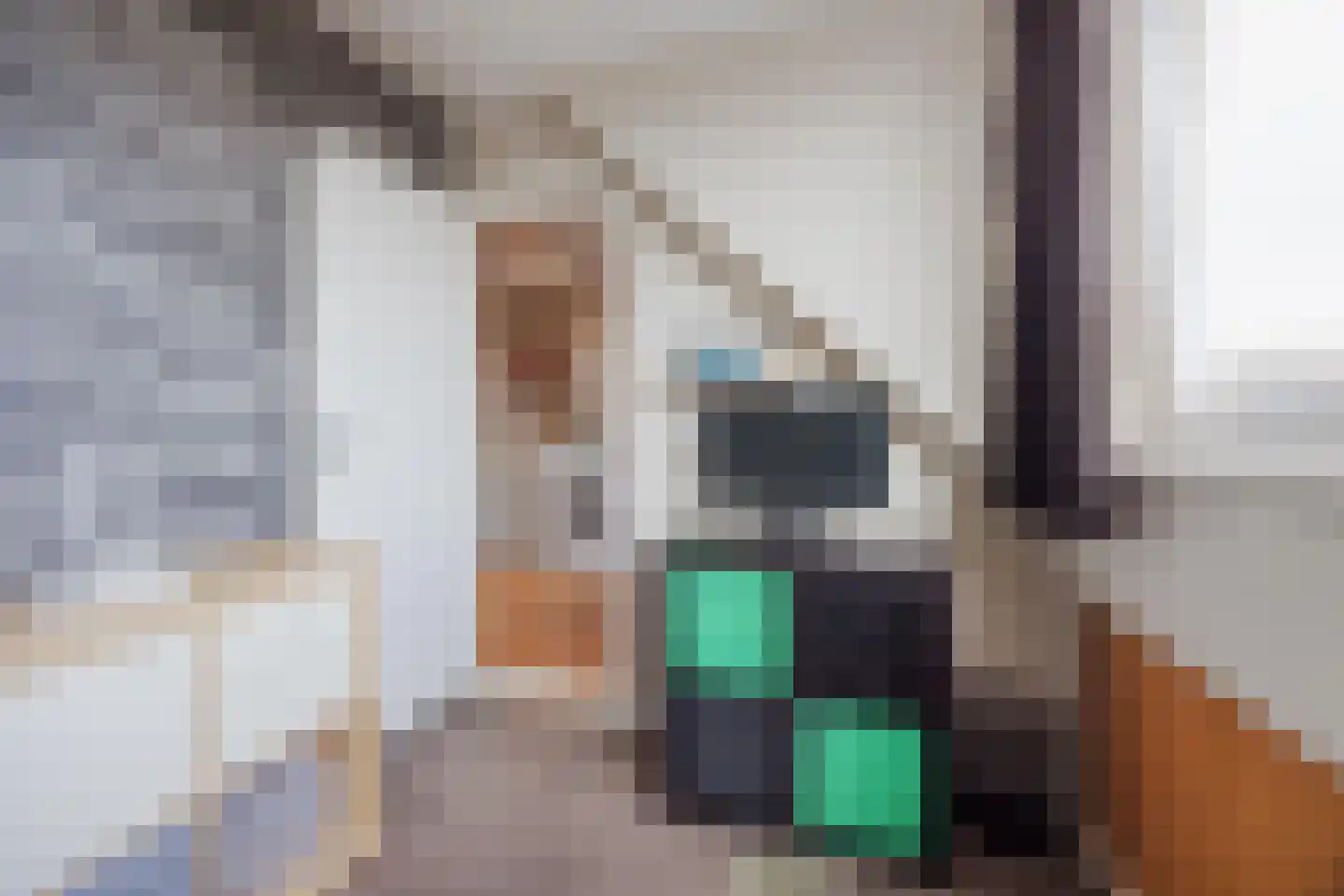 Biezenstraat 2 Raamsdonksveer thumbnail 36