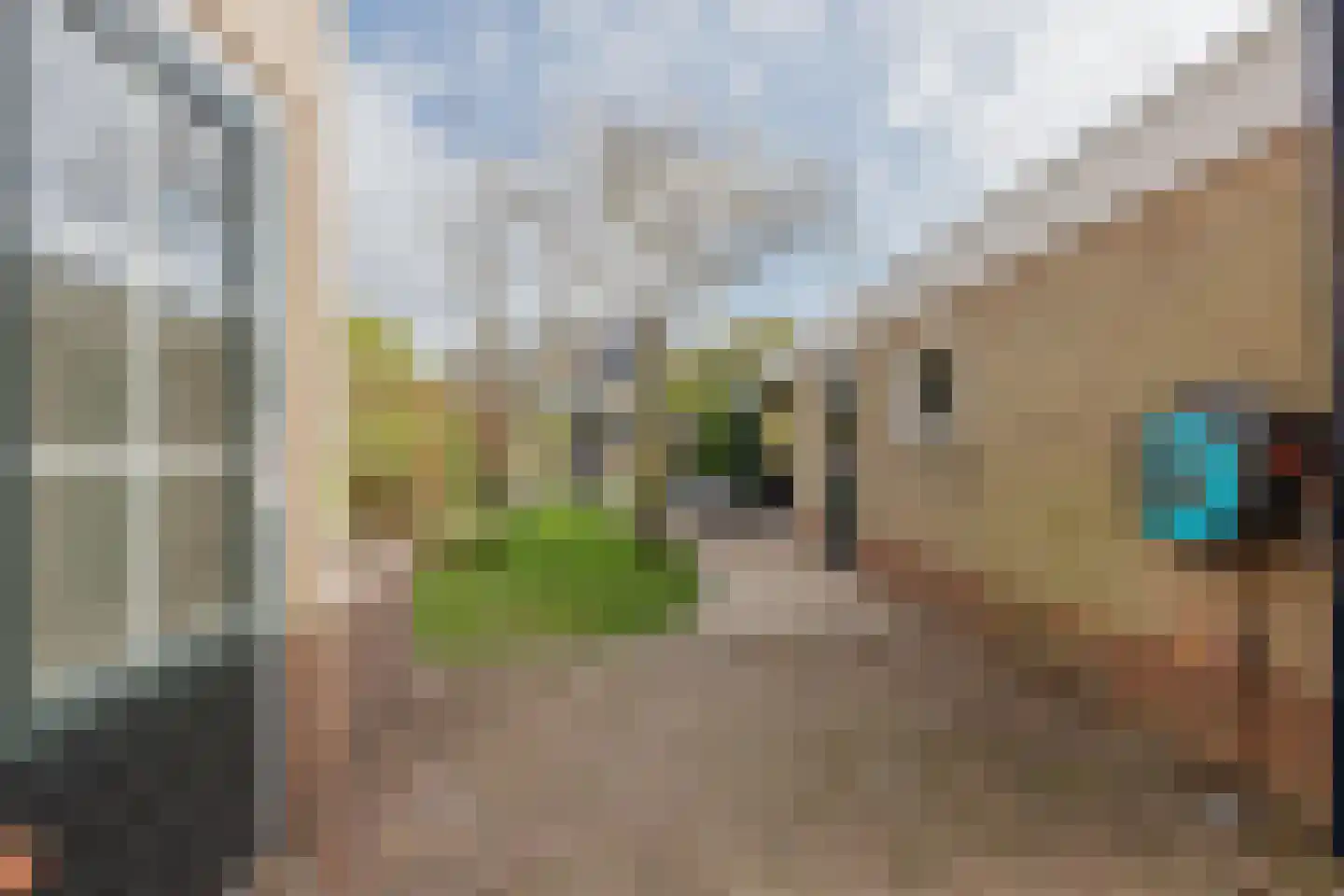 Biezenstraat 2 Raamsdonksveer thumbnail 37