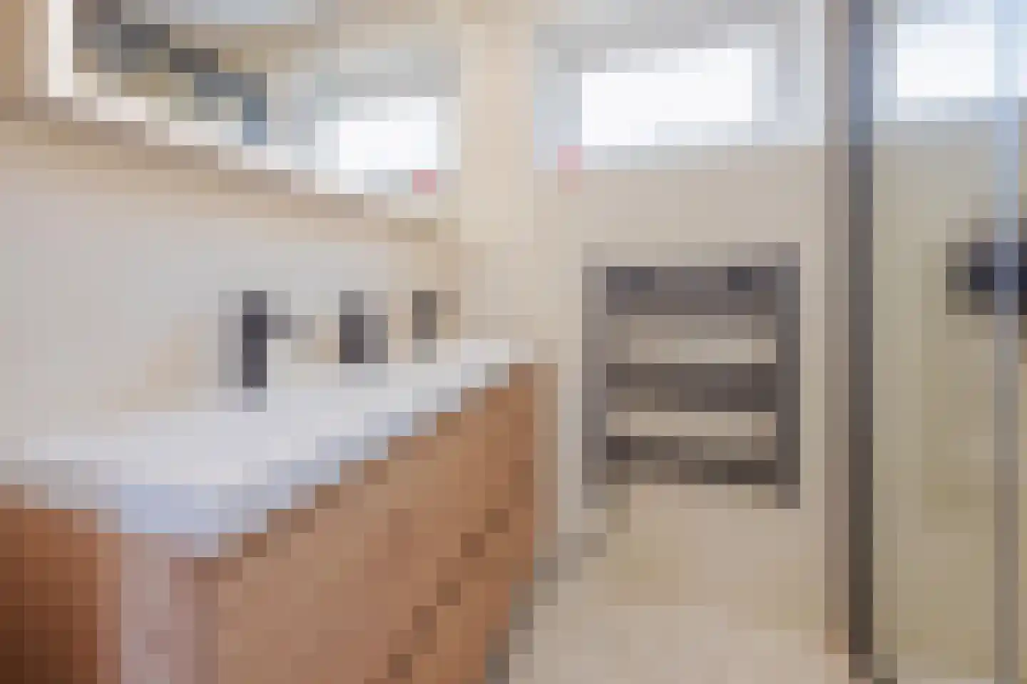 Biezenstraat 2 Raamsdonksveer thumbnail 4