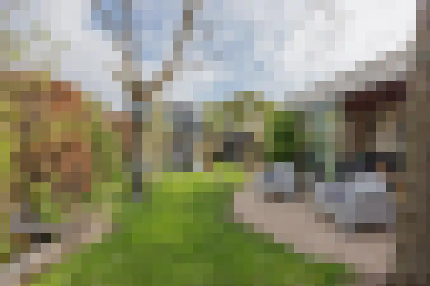 Biezenstraat 2 Raamsdonksveer thumbnail 40