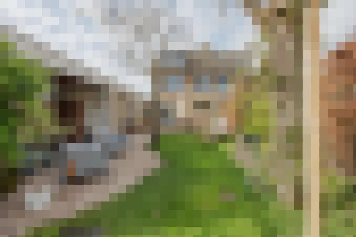 Biezenstraat 2 Raamsdonksveer thumbnail 46