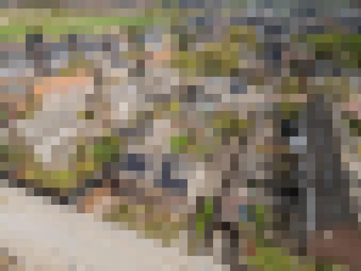 Biezenstraat 2 Raamsdonksveer thumbnail 50