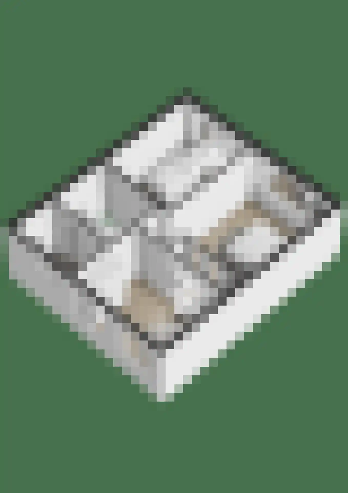 Biezenstraat 2 Raamsdonksveer thumbnail 55