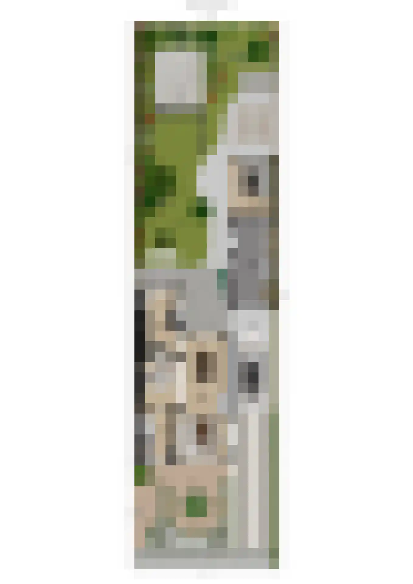 Biezenstraat 2 Raamsdonksveer thumbnail 60
