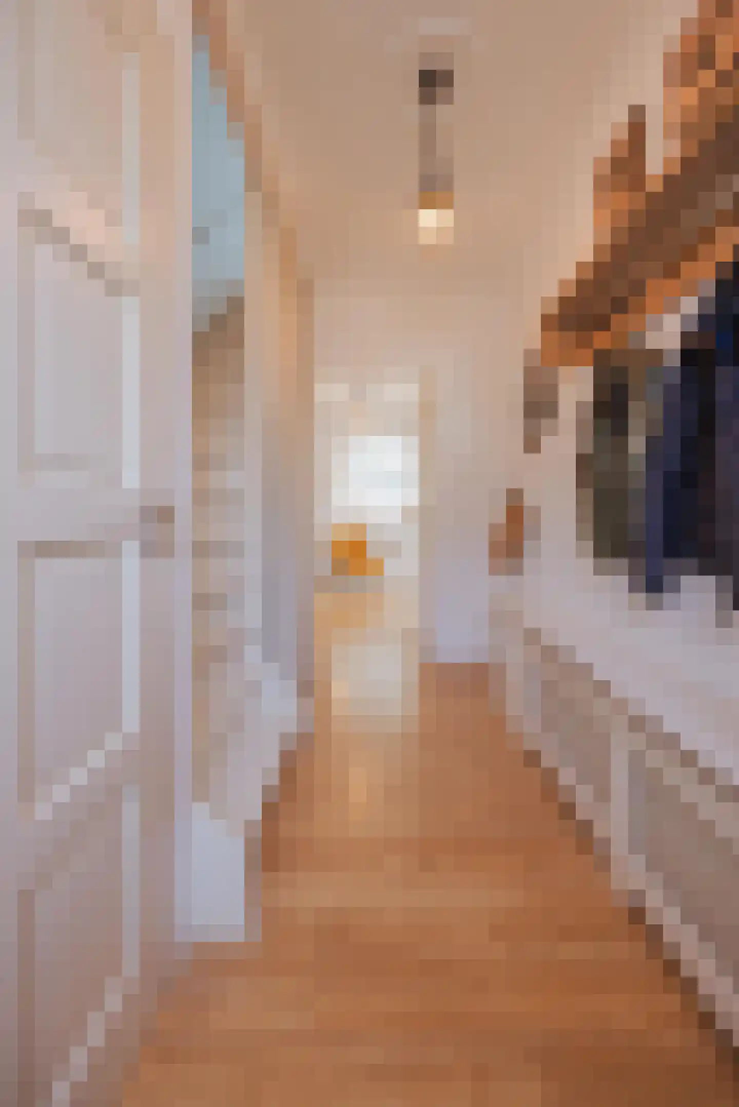 Biezenstraat 2 Raamsdonksveer thumbnail 8