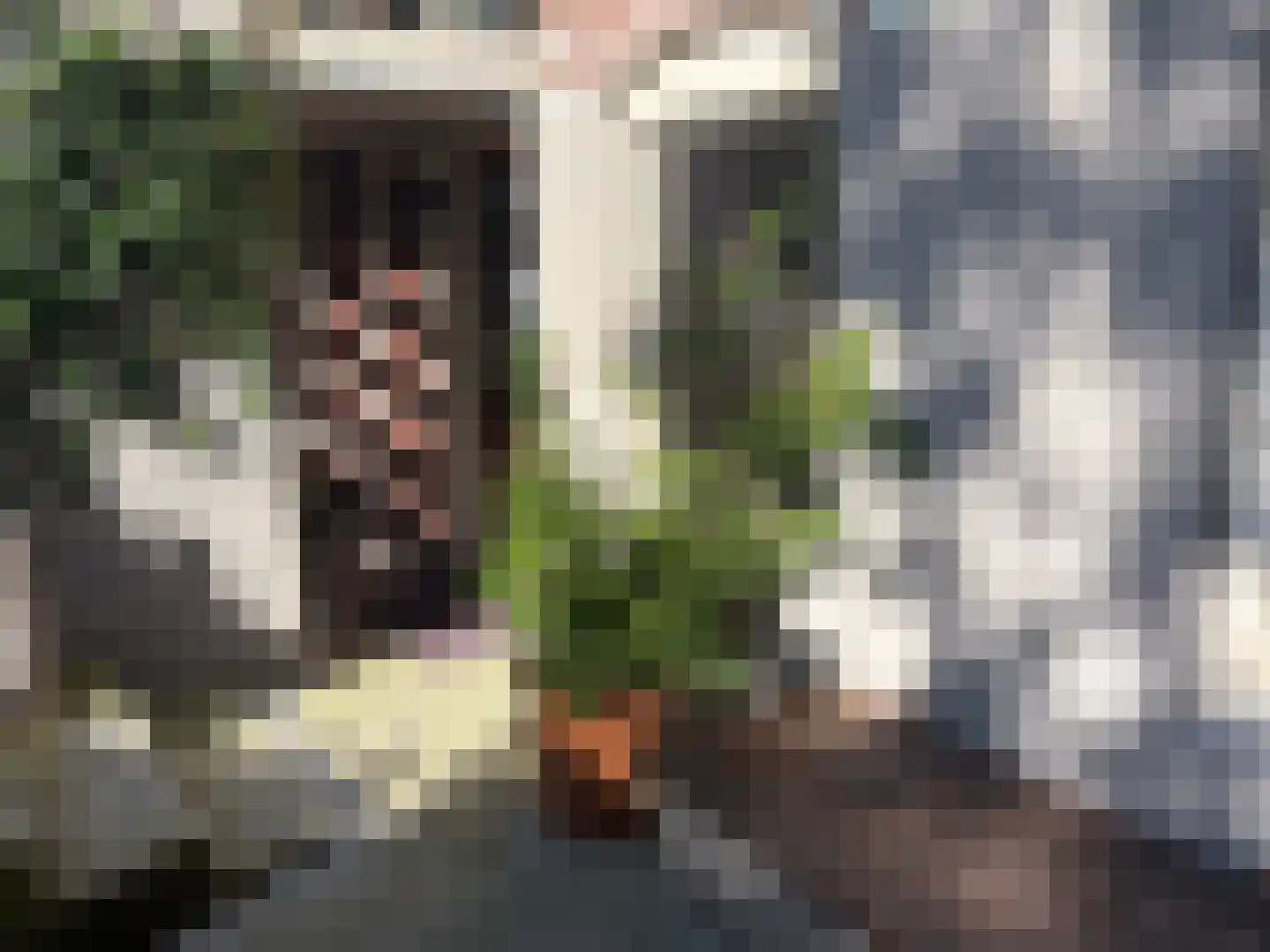 Biezenstraat 20 A Nijmegen thumbnail 22