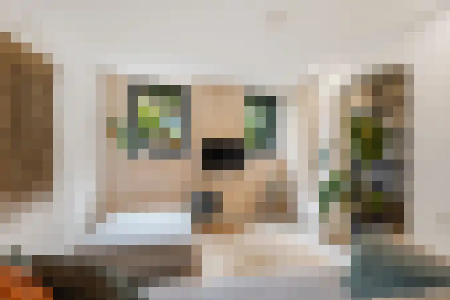 Biezenstraat 20 A Nijmegen thumbnail 7