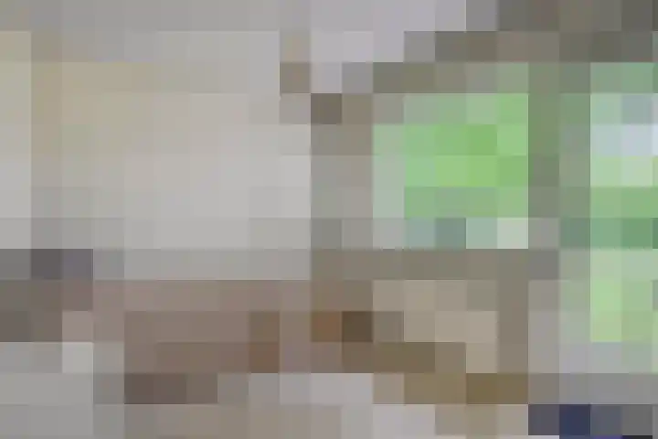Biezenstraat 21 Oisterwijk thumbnail 17