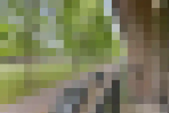 Biezenstraat 21 Oisterwijk thumbnail 19