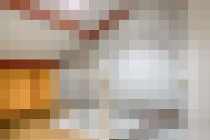 Biezenstraat 21 Oisterwijk thumbnail 23