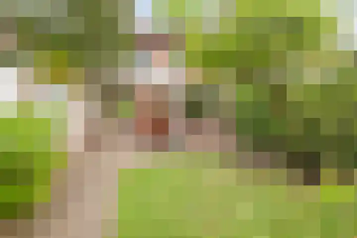 Biezenstraat 21 Oisterwijk thumbnail 28