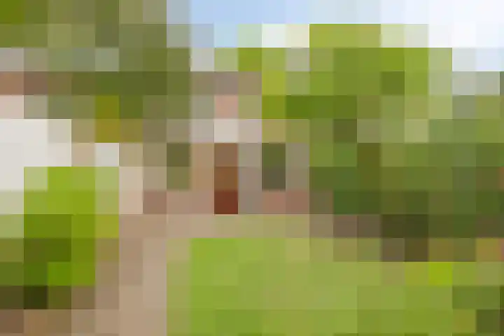 Biezenstraat 21 Oisterwijk thumbnail 29