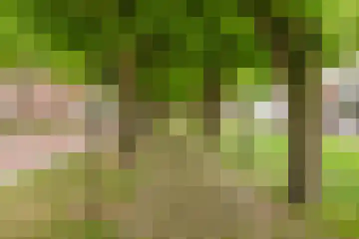 Biezenstraat 21 Oisterwijk thumbnail 33