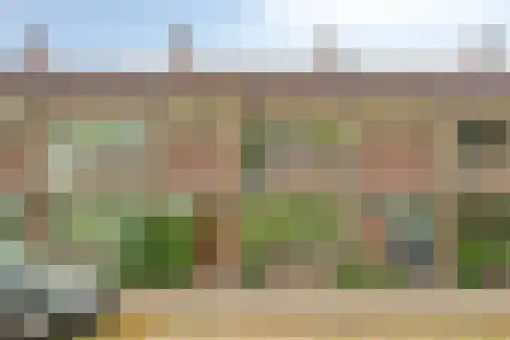Biezenstraat 21 Oisterwijk thumbnail 35