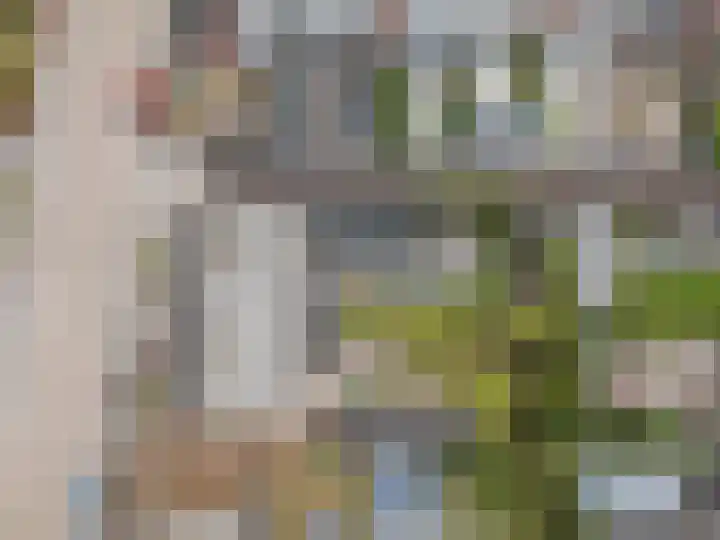 Biezenstraat 3 Raamsdonksveer thumbnail 10