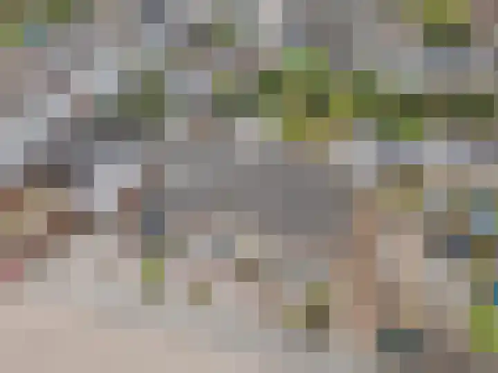 Biezenstraat 3 Raamsdonksveer thumbnail 11