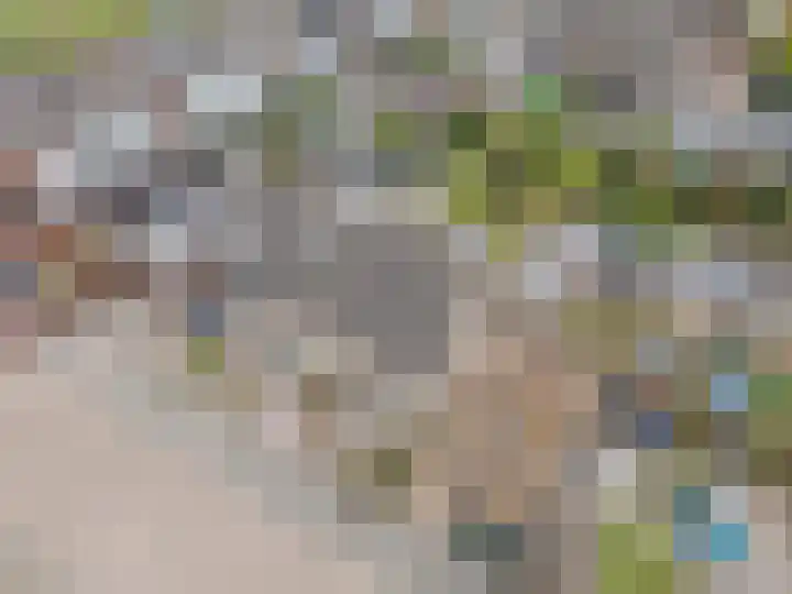 Biezenstraat 3 Raamsdonksveer thumbnail 12