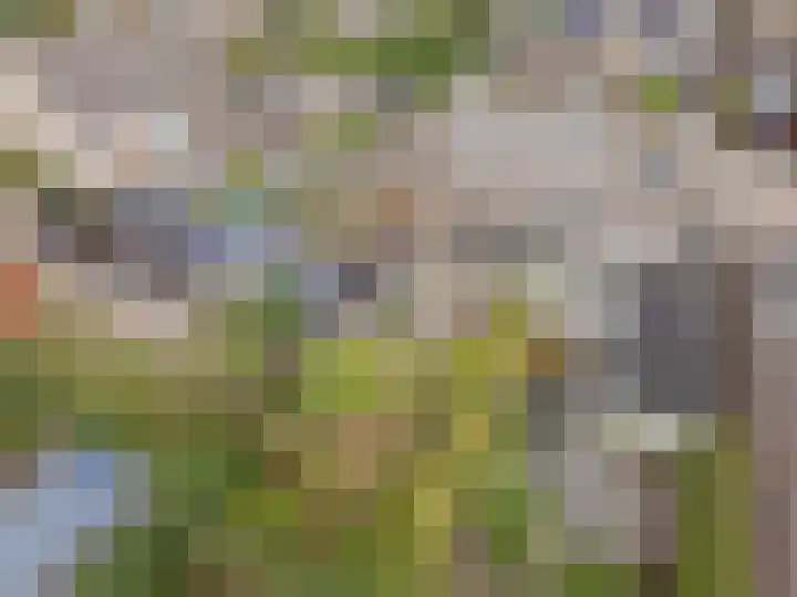 Biezenstraat 3 Raamsdonksveer thumbnail 13