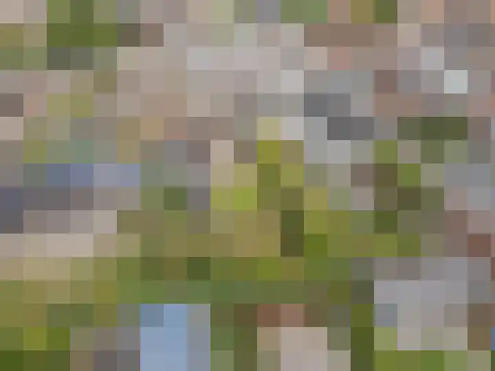 Biezenstraat 3 Raamsdonksveer thumbnail 14
