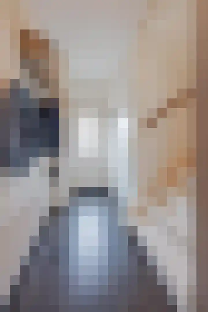 Biezenstraat 3 Raamsdonksveer thumbnail 15
