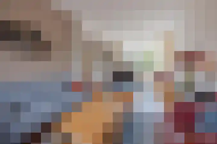 Biezenstraat 3 Raamsdonksveer thumbnail 23