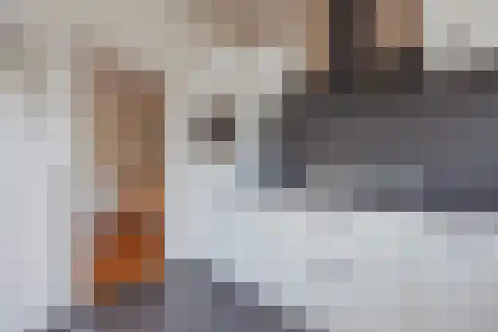 Biezenstraat 3 Raamsdonksveer thumbnail 25
