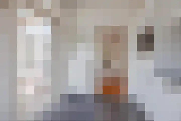 Biezenstraat 3 Raamsdonksveer thumbnail 27