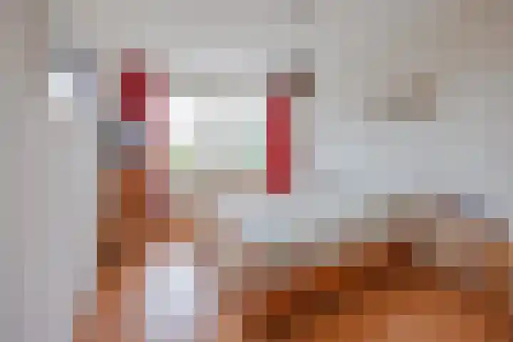 Biezenstraat 3 Raamsdonksveer thumbnail 30